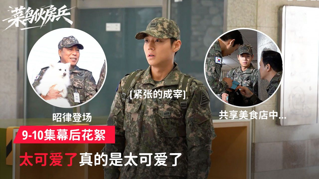小狗成宰遇到了小狗昭律[9-10集花絮]【菜鸟伙房兵】
