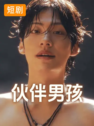 伙伴男孩