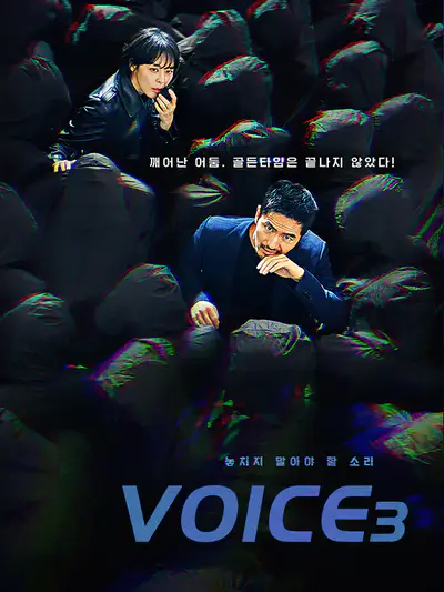 Voice3