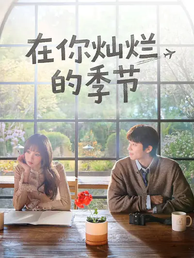 在你灿烂的季节