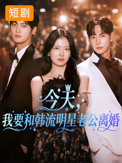 今天,我要和韩流明星老公离婚