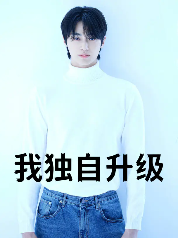 我独自升级
