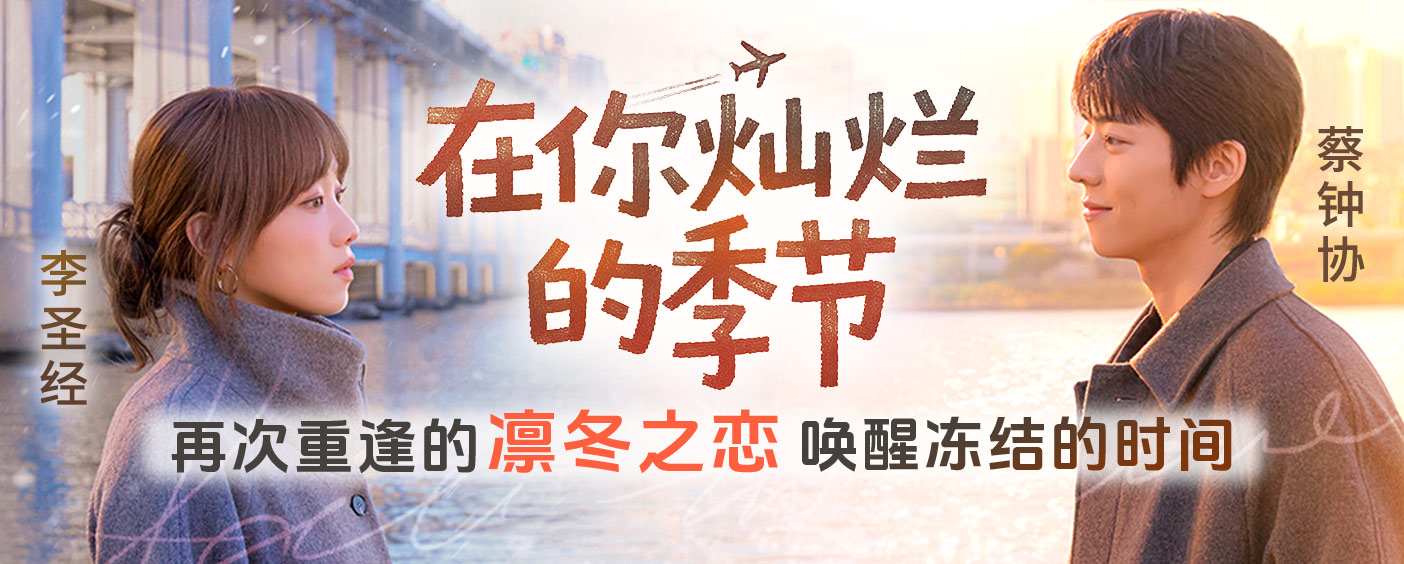 在你灿烂的季节