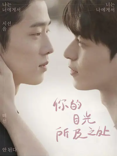 你的目光所及之处