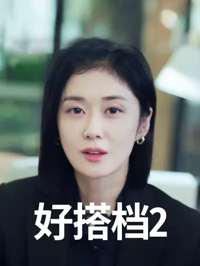 好搭档2