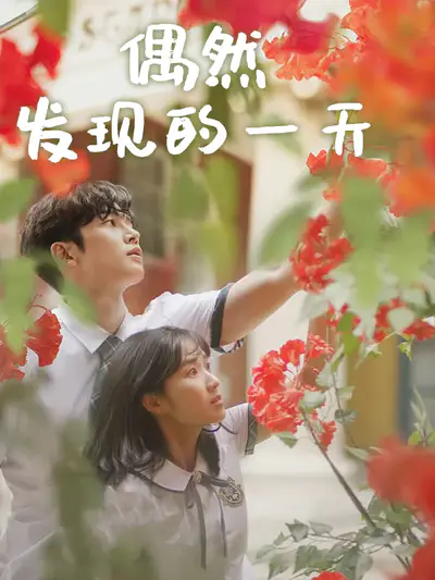 偶然发现的一天