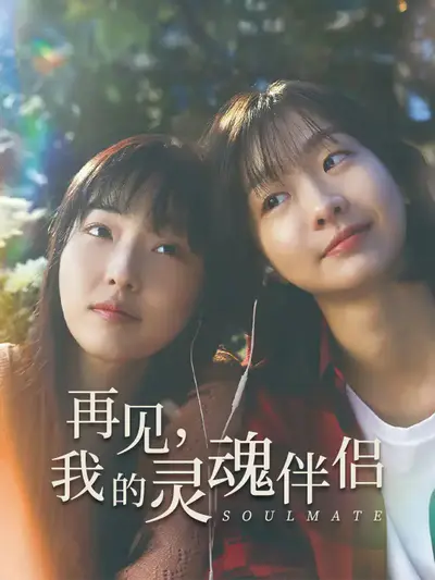 再见,我的灵魂伴侣